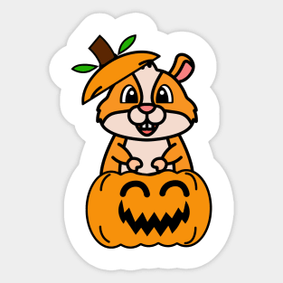 Funny Hamster is in a pumpkin Sticker